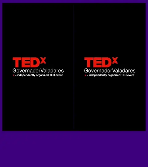 TEDx GV - Galeria